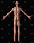 /headphoto/683217.jpg