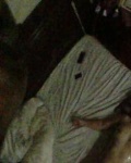 /headphoto/824194.jpg