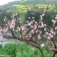 /photo////413993/我拍的/4_1_1_small.jpg