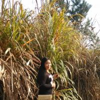 /photo////418954/老婆/img_20150108_143418_1_1_small.jpg