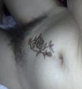 /photo////554394/女友/200811301267_1_6_small.jpg