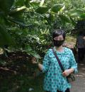 /photo////555310/lp/1111_1_1_small.jpg