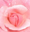 /photo////555942/logo/.jpg_1_6_small.jpg