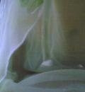 /photo////556066/我的她/ww_1_1_small.jpg