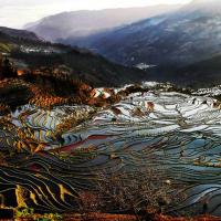/photo////559900/我的照片/0_563301_groupinfo-w600_2_1_small.jpg