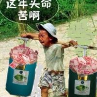 /photo////559938/wodezozipai/未命名565_1_1_small.jpg