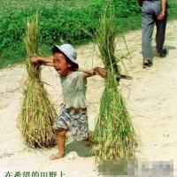 /photo////561743/犯得上法/b201127011204014e829288d15e6_1_1_small.jpg
