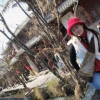 /photo////562645/云南旅游/1_1_6_small.jpg