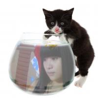 /photo////565737/我的宝贝/3_1_2_small.jpg