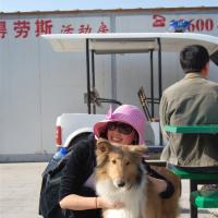 /photo////567828/生活照/http_imgload103_1_5_small.jpg
