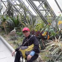 /photo////57190/我的照片/深圳仙湖植物_1_1_small.jpg