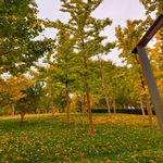 /photo////901565/屌丝一枚/img_20221102_170032_1_3_small.jpg