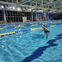 /photo////907687/swim/1687323431390_mmexport16_1_1_small.jpg