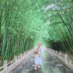 /photo////907978/家妻照片/img_20221102_151357_1_2_small.jpg
