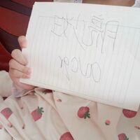 /photo////921012/本人原创/av3_2_20_small.jpg