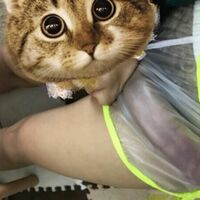/photo////921811/活动照片/6b1c99eea15df18d94f5b0acf23f143c_1_3_small.jpg