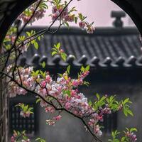 /photo////922032/缘分天空/1690310862758_20230303_0_1_3_small.jpg